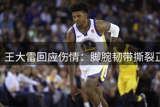王大雷回应伤情：脚腕韧带撕裂正在康复中